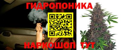 мдпв Жуковский